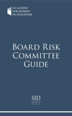 Board Risk Committee Guide