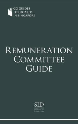 Remuneration Committee Guide